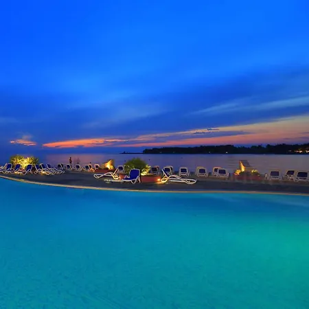 Stella Maris.7 *